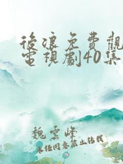 后浪免费观看的电视剧40集