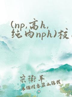 (np,高h,纯肉nph)校园