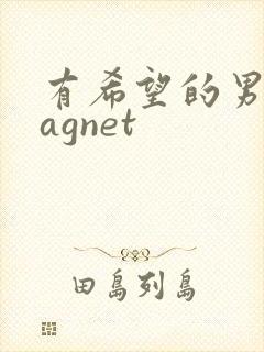 有希望的男人magnet