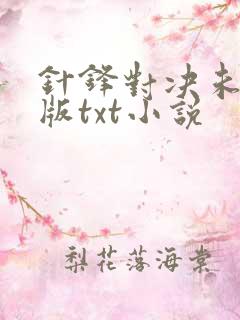 针锋对决未删减版txt小说