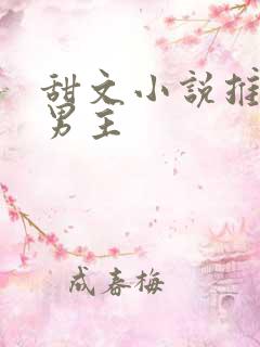 甜文小说推荐双男主
