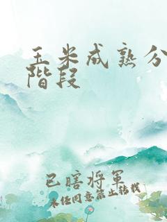 玉米成熟分几个阶段