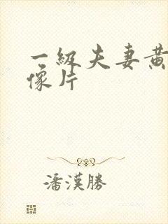 一级夫妻黄色录像片