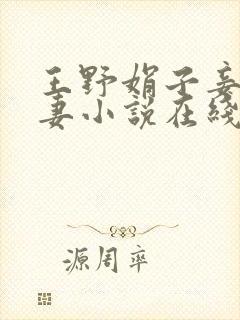 王野娟子妾不如妻小说在线阅读