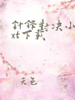 针锋对决小说txt下载