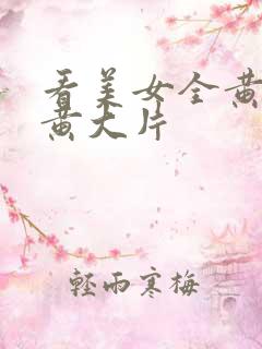 看美女全黄大色黄大片