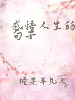 感悟人生的哲理句子