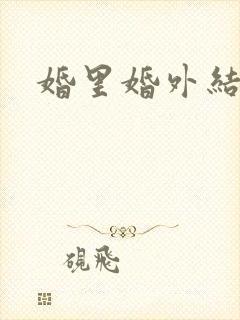 婚里婚外结局