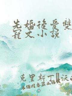 先婚后爱双豪门宠文小说