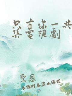 只有你一共多少集电视剧