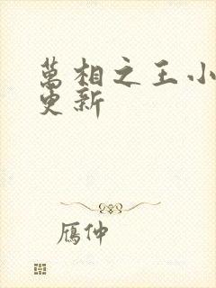 万相之王小说有更新
