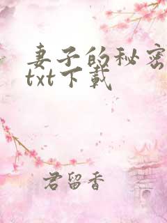 妻子的秘密往事txt下载