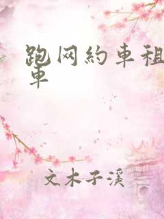 跑网约车租电动车