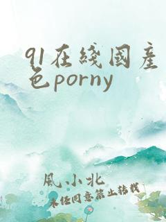 91在线国产九色porny