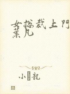 女总裁上门女婿叶凡