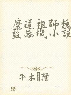 魔道祖师魏无羡蓝忘机小说免费阅读