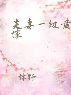 夫妻一级黄色录像