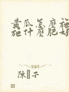 黄瓜怎么施肥?施什么肥好