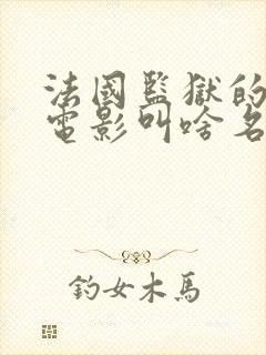 法国监狱的那个电影叫啥名字