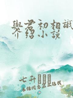 与君初相识剧情介绍小说