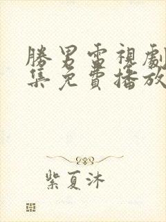 胜男电视剧40集免费播放