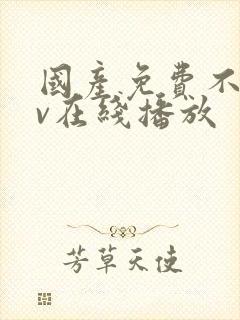 国产免费不卡av在线播放