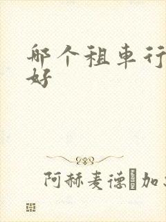 哪个租车行比较好