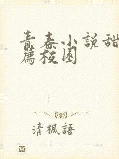 青春小说甜文推荐校园