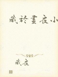 藏于昼夜小说