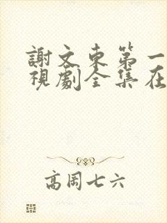 谢文东第一季电视剧全集在线观看高清