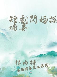 短剧闪婚总裁小娇妻