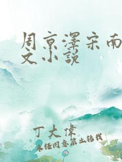 周京泽宋南夕全文小说