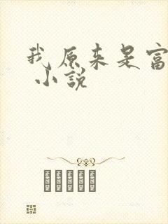 我原来是富二代 小说