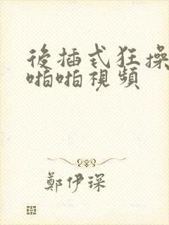后插式狂操美女啪啪视频