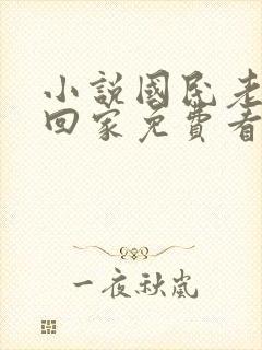 小说国民老公带回家免费看