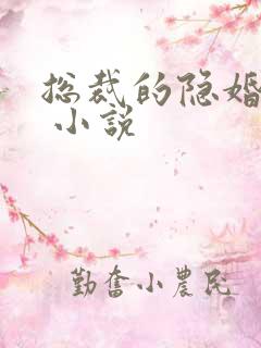 总裁的隐婚罪妻 小说