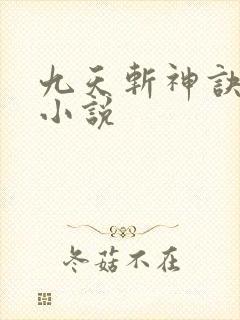 九天斩神诀林辰小说