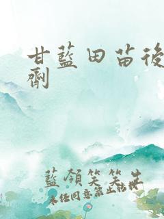 甘蓝田苗后除草剂