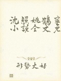 沈照姚鹤宁慕婉小说全文免费阅读笔趣阁