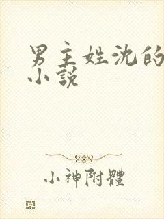 男主姓沈的古代小说