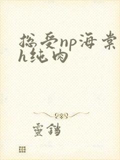 总受np海棠高h纯肉