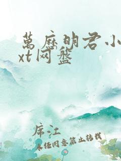 万历明君小说txt网盘