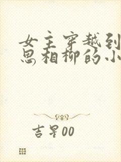 女主穿越到长相思相柳的小说