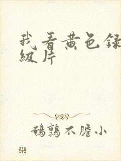 我看黄色录像一级片