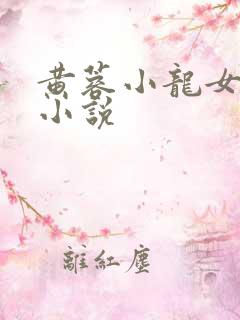 黄蓉小龙女系列小说