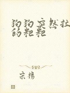 狗狗突然拉很细的粑粑