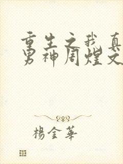 重生之我真不是男神周煜文