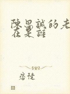 陈思诚的老婆现在是谁