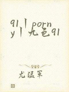 91丨porny丨九色91