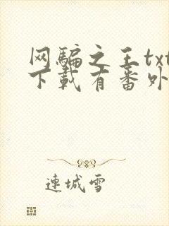网骗之王txt下载有番外